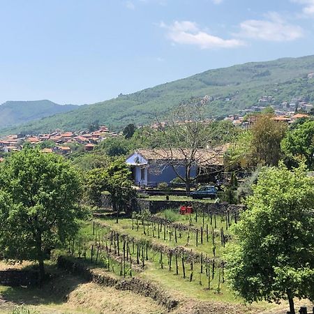 Alberto'S Mt.Etna B&B Zafferana Etnea Esterno foto