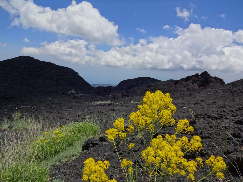 Alberto'S Mt.Etna B&B Zafferana Etnea Esterno foto