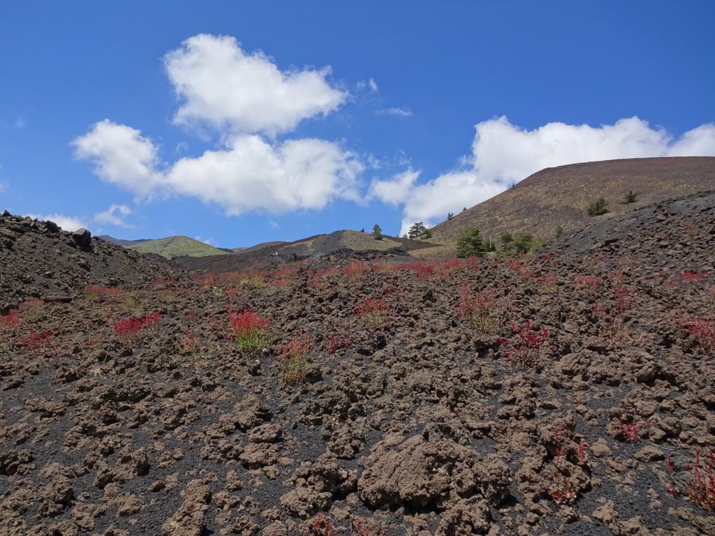 Alberto'S Mt.Etna B&B Zafferana Etnea Esterno foto