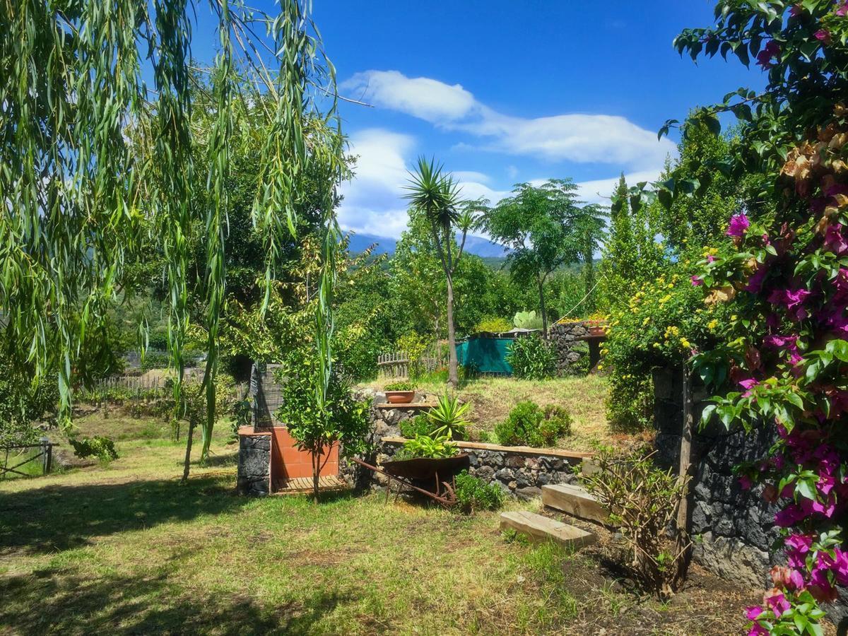 Alberto'S Mt.Etna B&B Zafferana Etnea Esterno foto