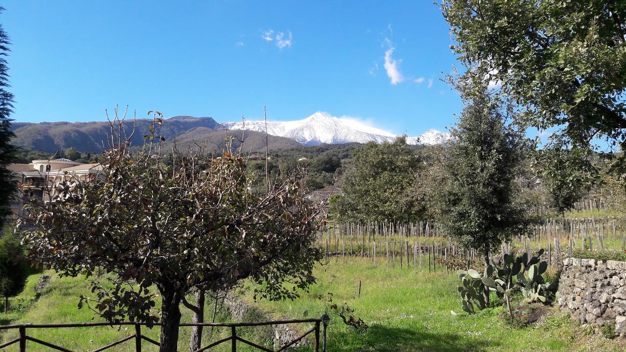 Alberto'S Mt.Etna B&B Zafferana Etnea Esterno foto