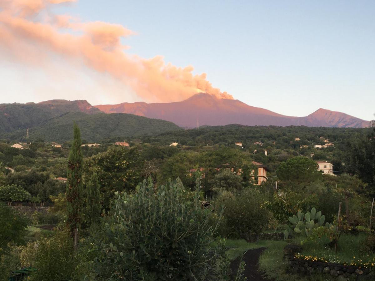 Alberto'S Mt.Etna B&B Zafferana Etnea Esterno foto