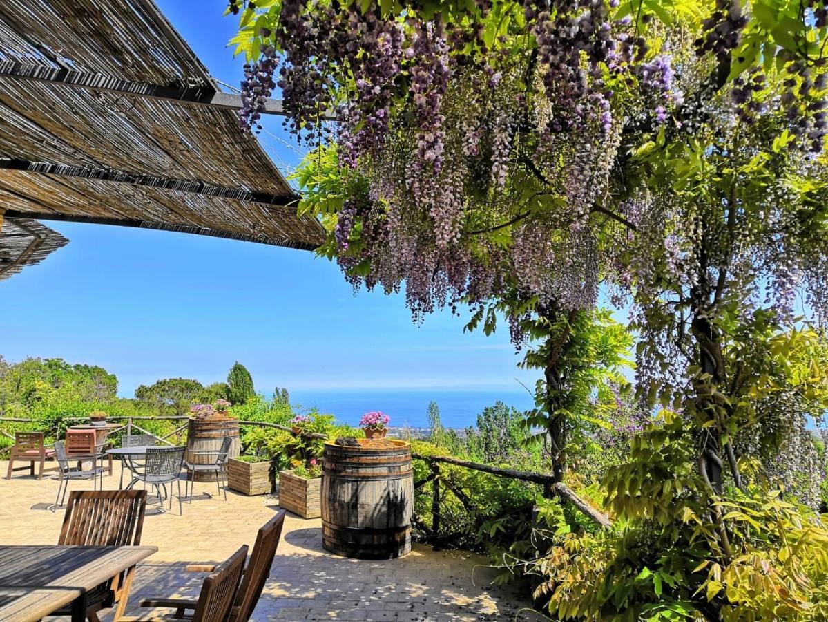 Alberto'S Mt.Etna B&B Zafferana Etnea Esterno foto